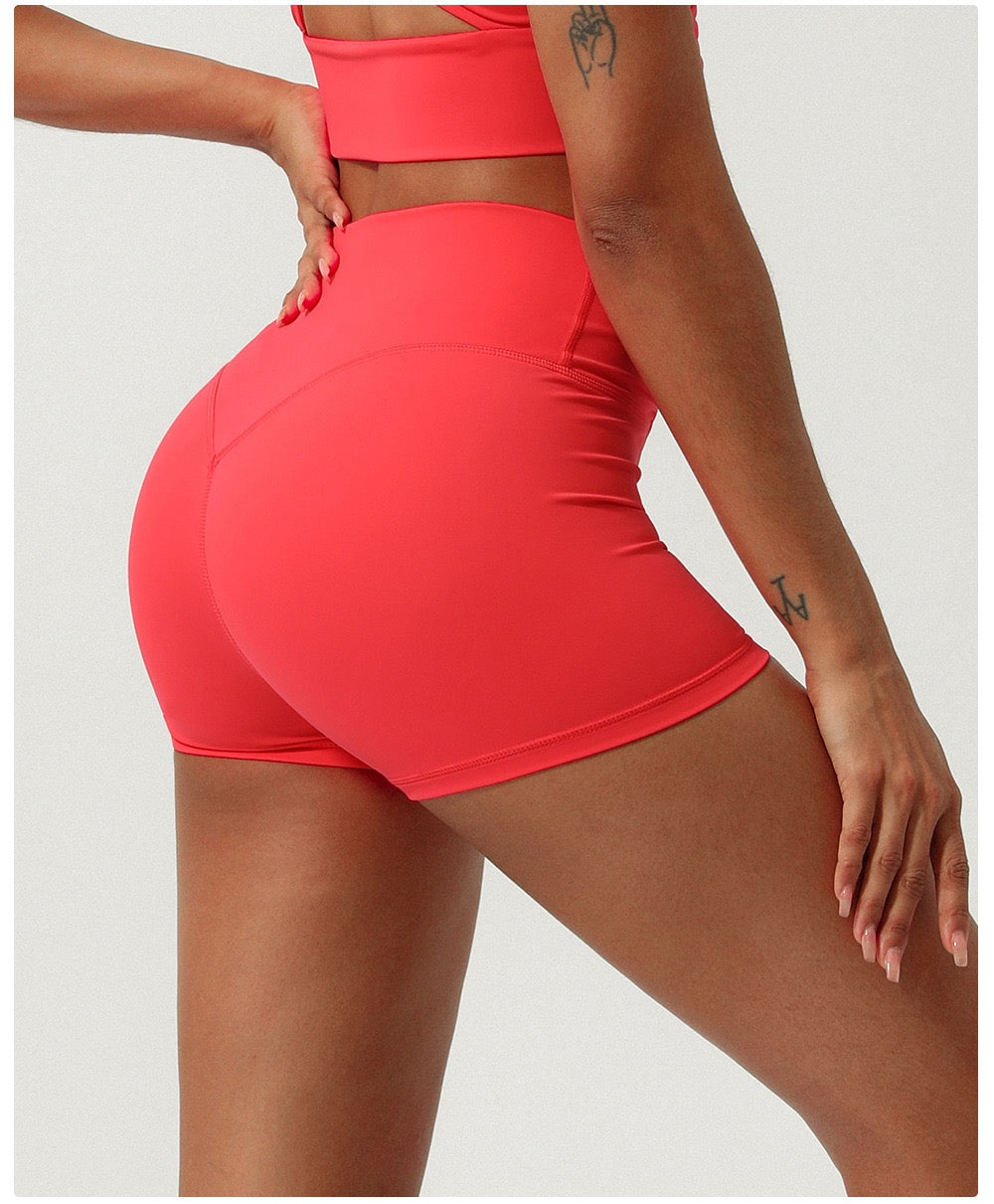 High quality gym short set T-Shirt Women Fitness Activewear